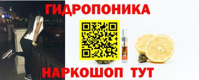 стаф Краснодар